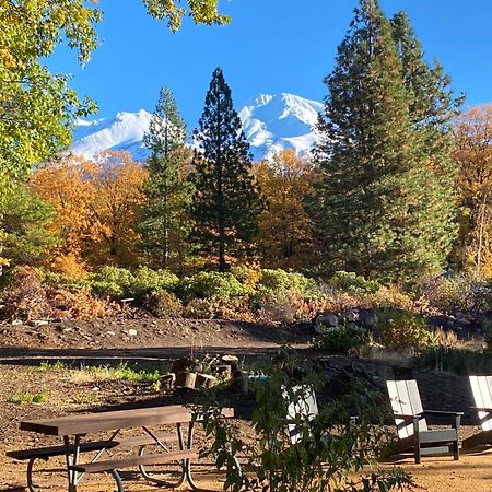 Basecamp Lodge Маунт-Шаста Экстерьер фото
